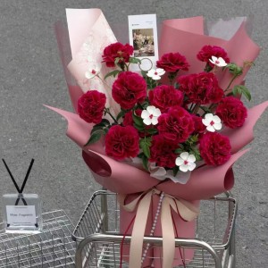 母亲节爆款/复古红康乃馨花束