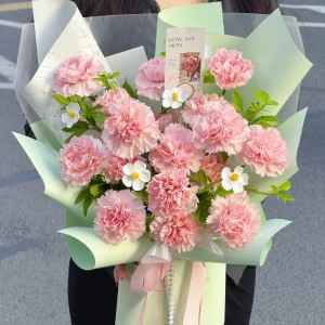 母亲节爆款/粉绿色是春天的底色