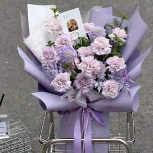 母亲节爆款/紫色吸色康乃馨